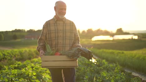 beautiful backlit view of man farmer with basket of harvest in green field in the rays of the sun at sunset