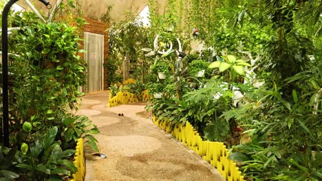 a serene garden path surrounded by greenery