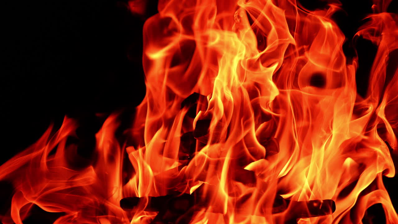 Wooden chops in a pile burn in the bonfire. Close up view on the campfire at black backdrop.