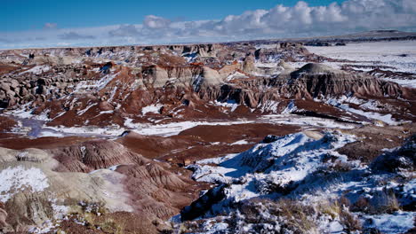 petrified forest pan with wood