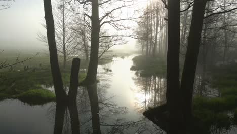 a small river shrouded in dense fog, with strong morning sunlight creating an otherworldly atmosphere