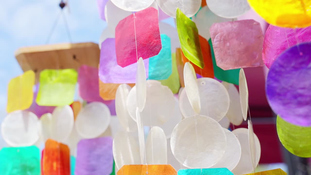 다채로운 데기 바람 종