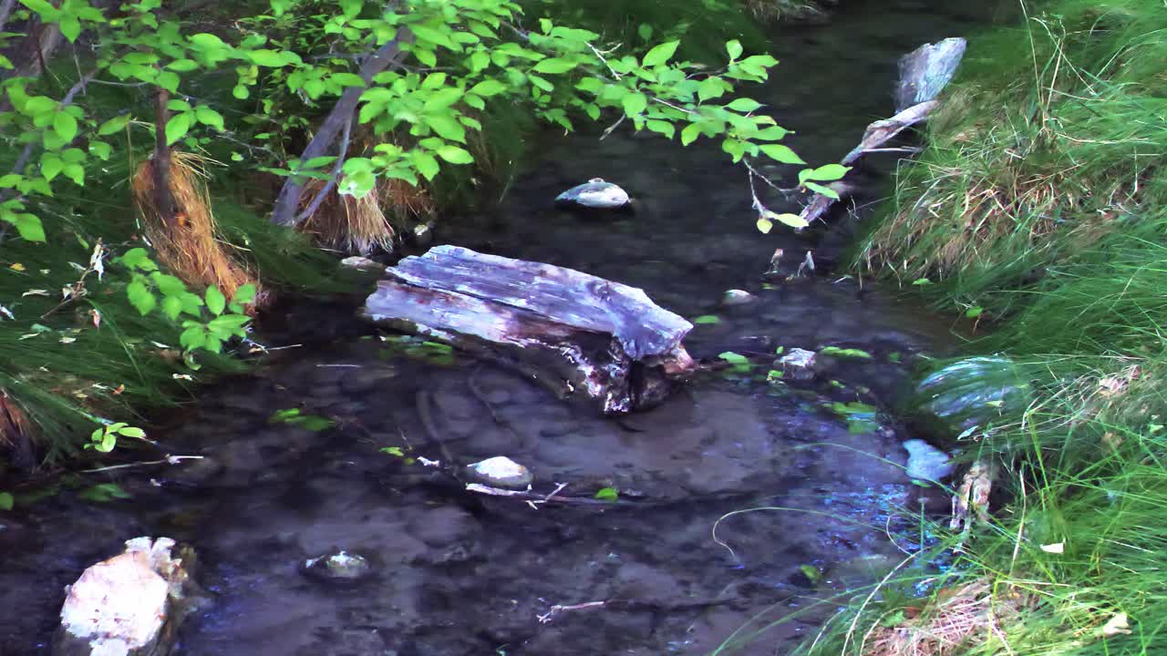 Woodland stream panorama in southwest USA