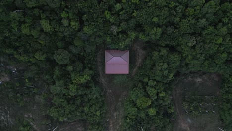 a house in a tropical climate surrounded by dense jungle.