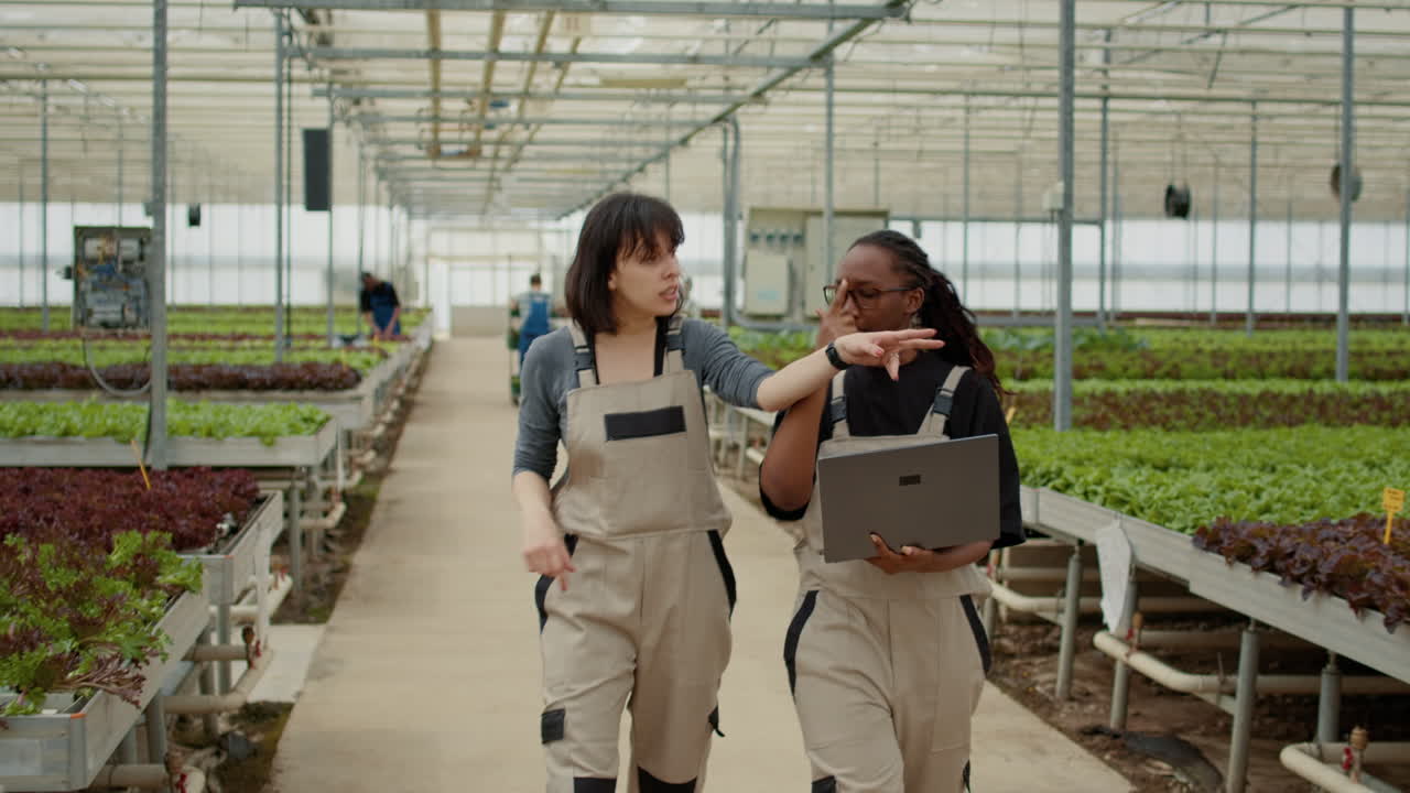 Two female farmers discussing crop production in a modern greenhouse