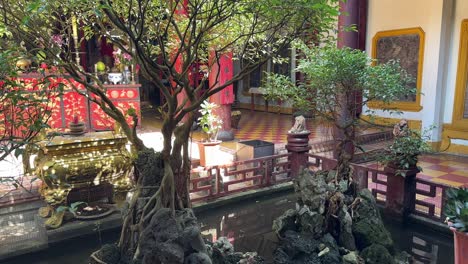 small trees with long roots in rocky pool in guan di buddhist temple courtyard in hoi an, unesco world heritage site, vietnam