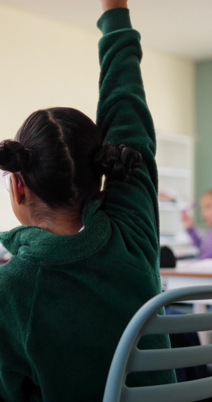 Young Student Raising Hand in Classroom