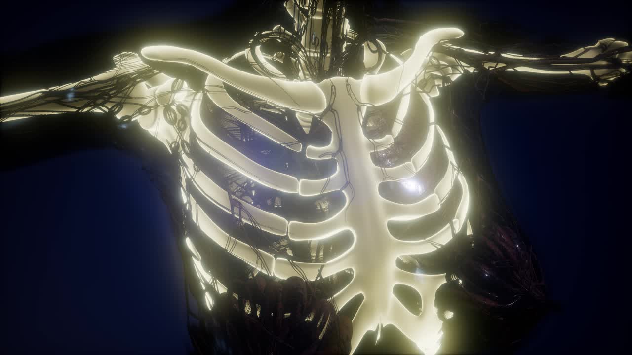 눈에 띄는 골격  ⁇ 가 있는 인간의 몸