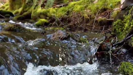 Wasser,-Das-An-Einem-Warmen-Frühlingstag-über-Moosbedeckte-Felsen-In-Einem-Bergbach-Kaskadiert