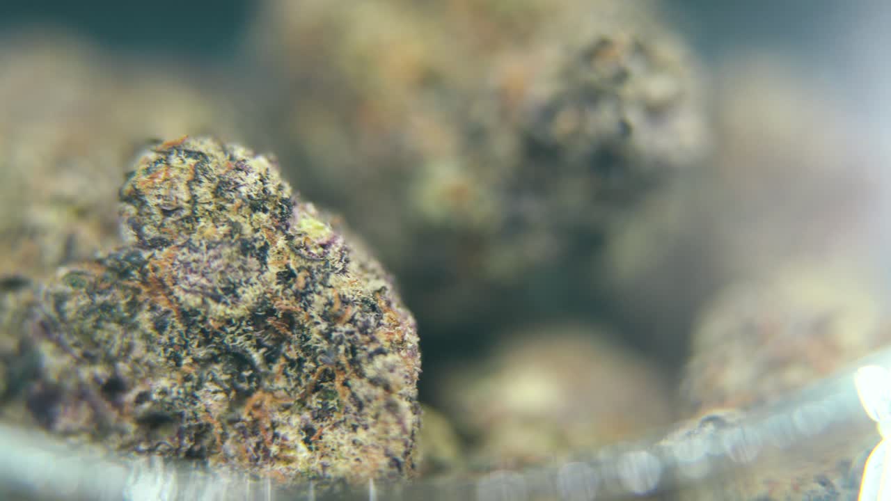 Macro rotating video of a cannabis plant, hybrid strains, crisp sativa, marijuana flower in a clear glass, purple haze, 4K video, studio lighting, magical blur, smooth movement