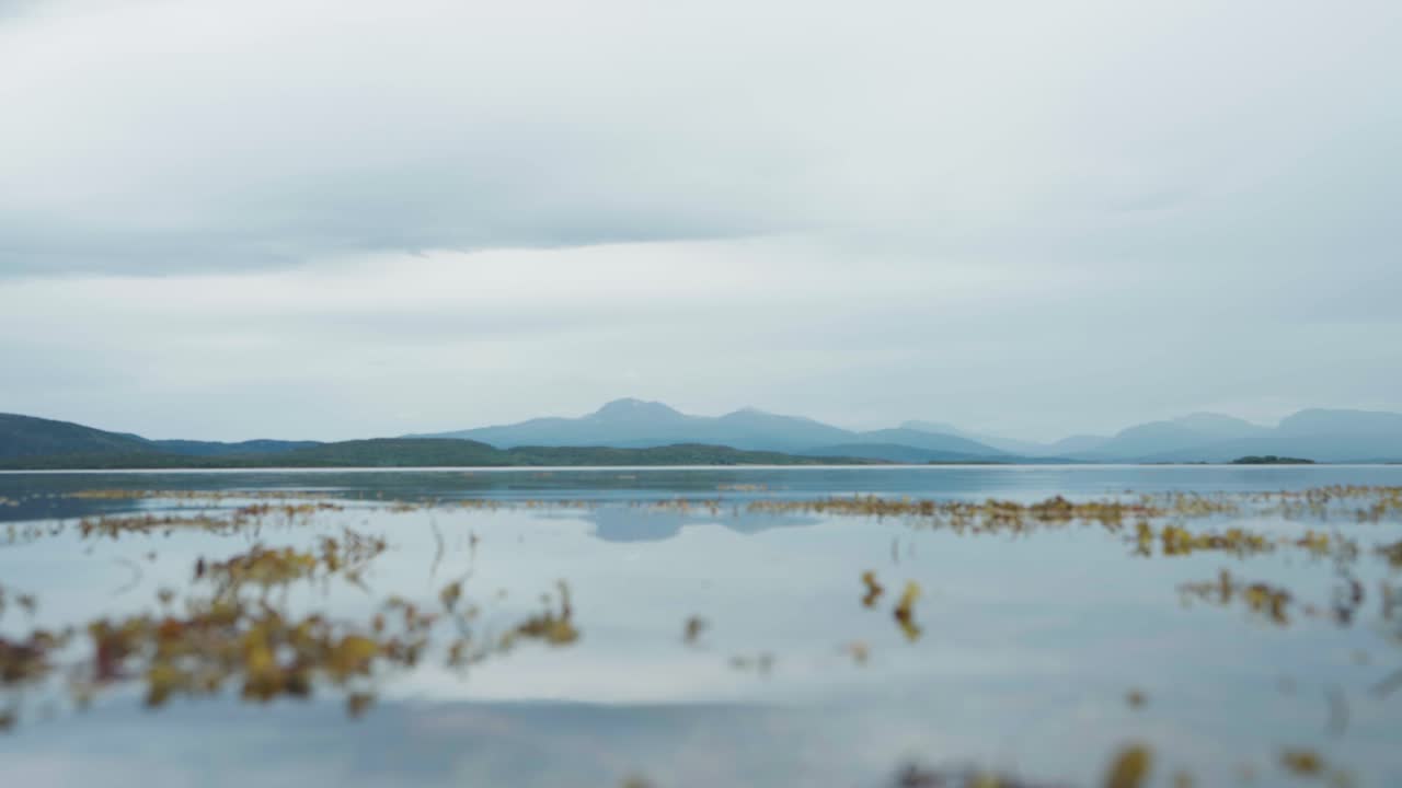 anderdalen 국립 공원, senja, 노르웨이에서 산 반사와 고요한 호수
