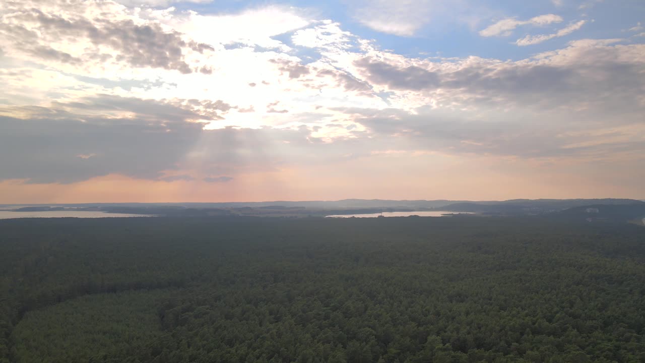 Golden sun rays pierce through the clouds over Rügen’s vast forest, casting a warm light across the serene landscape.