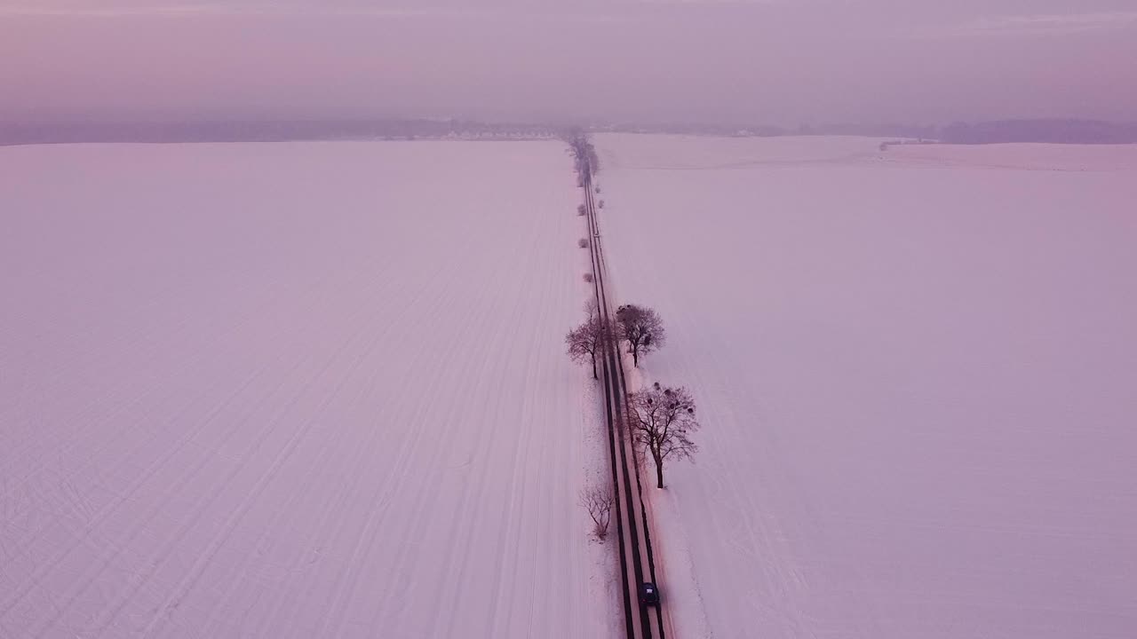 나무가 늘어선 도로, 아무데도 통과하지 않음