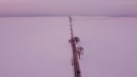 camino, bordeado de árboles, pasando por el medio de la nada