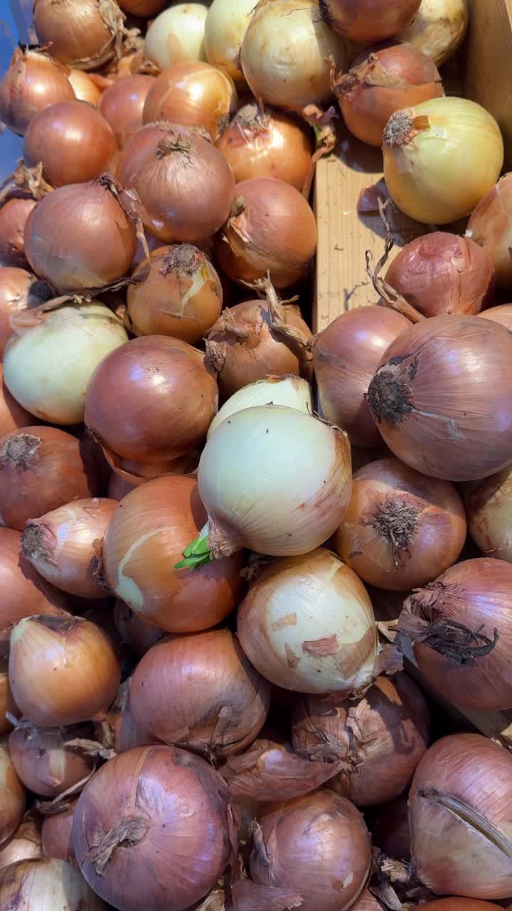 Close-up de Várias Cebolas Frescas em uma Seção de Hortifrúti