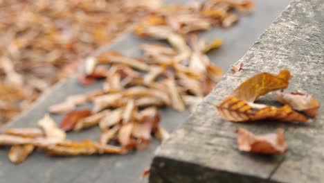 The-Wooden-Old-Table-And-Bench-Are-Covered-With-Yellow-Leaves