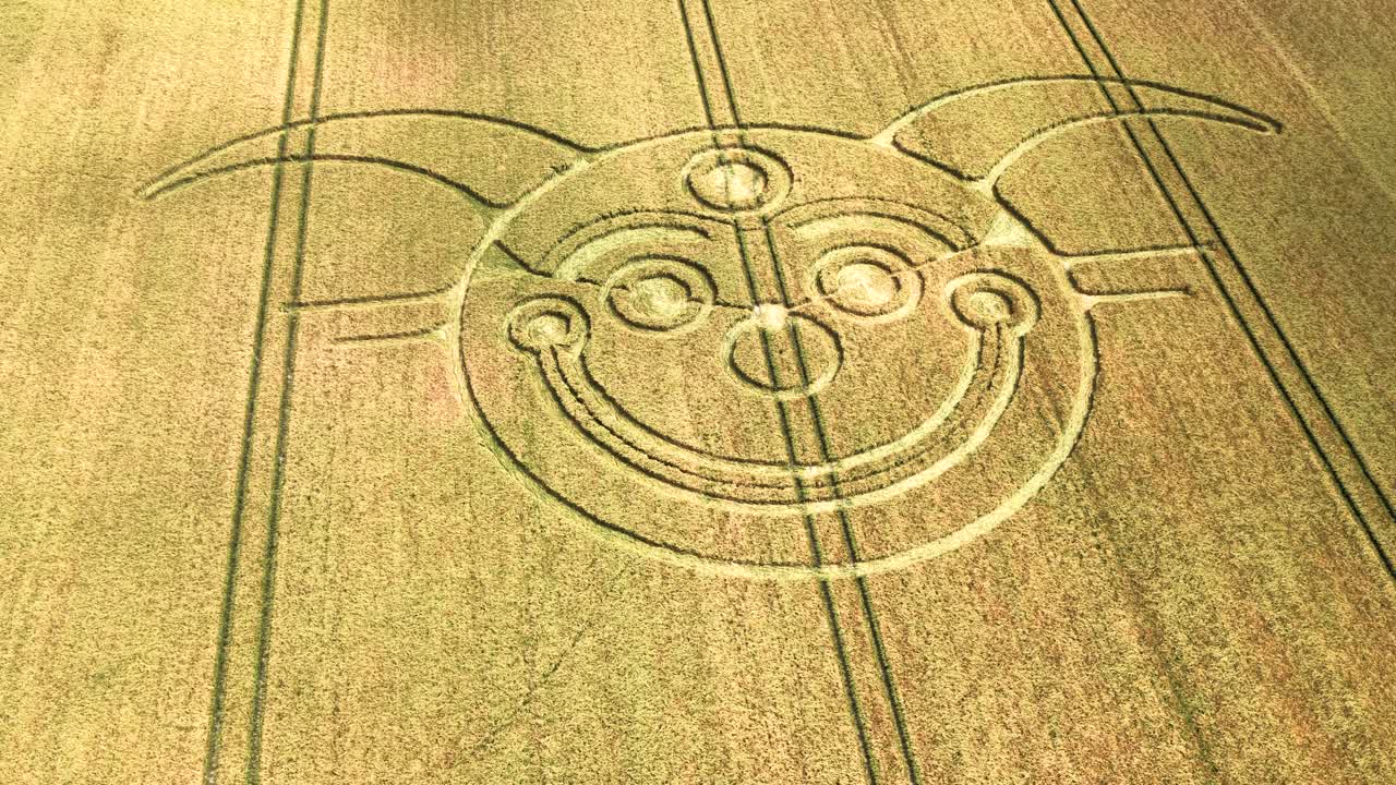 Aerial view circling spooky golden wheat smiling jester crop circle on rural Stonehenge harvest