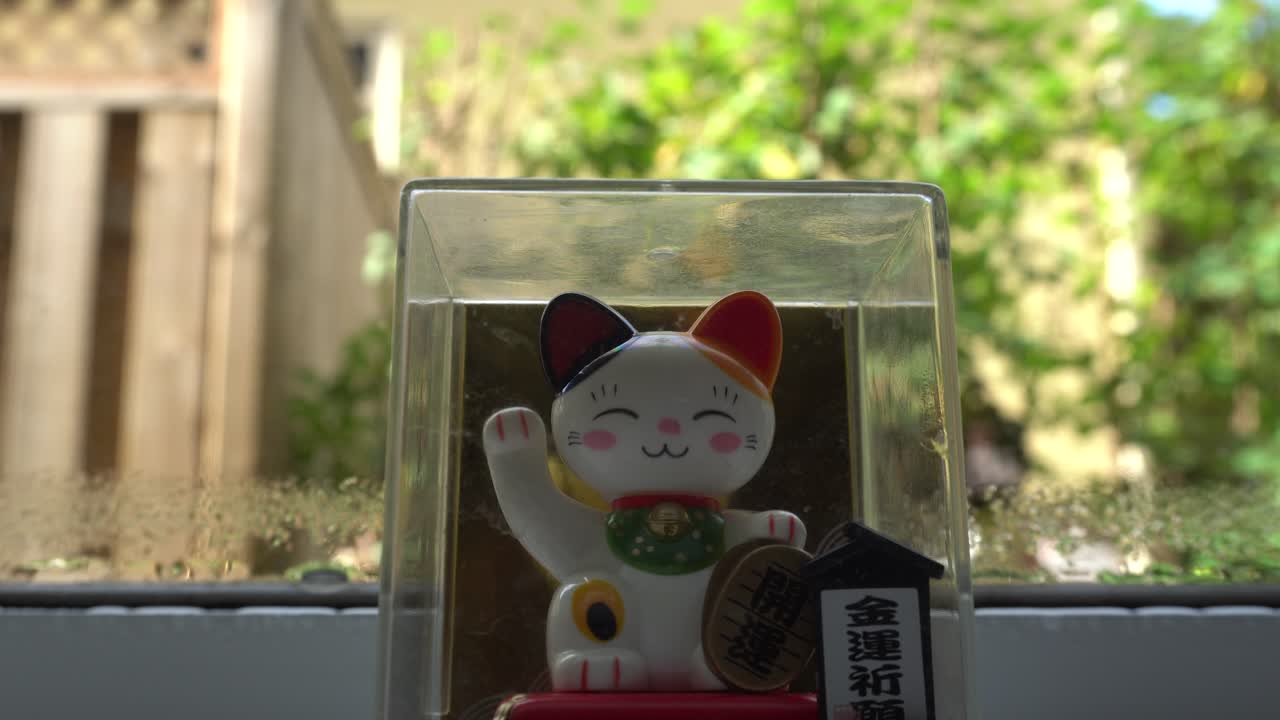 un hermoso gato blanco que funciona con energía solar mueve la cabeza rápidamente