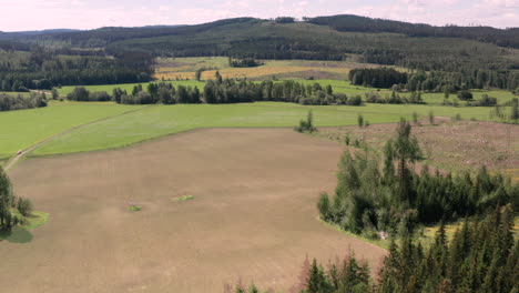 Timelapse-Aéreo-De-8-Semanas-De-Un-Campo-De-Cultivo-Agrícola,-Transformándose-De-Marrón-A-Verde