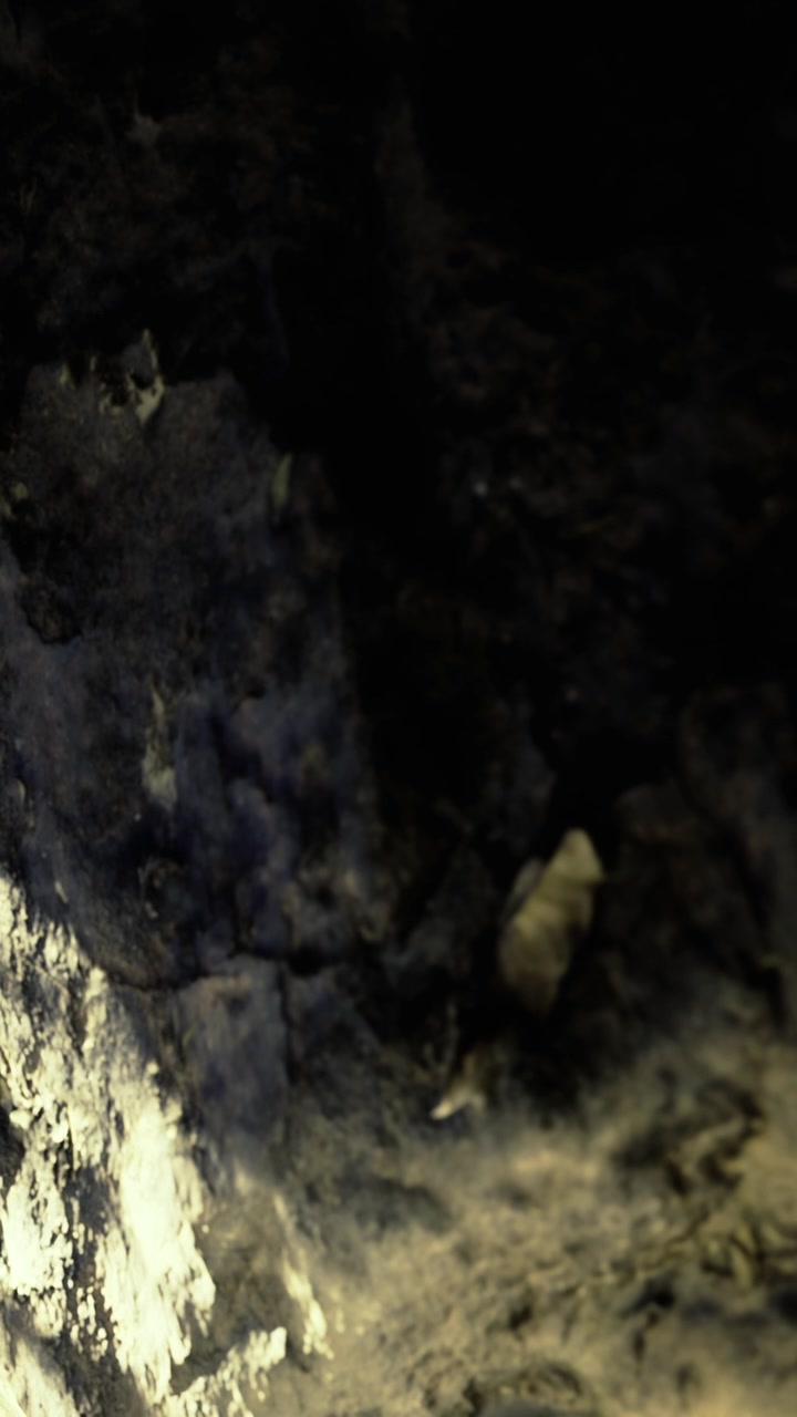 Ground full of dirt and rocks near a cave entrance during daylight hours