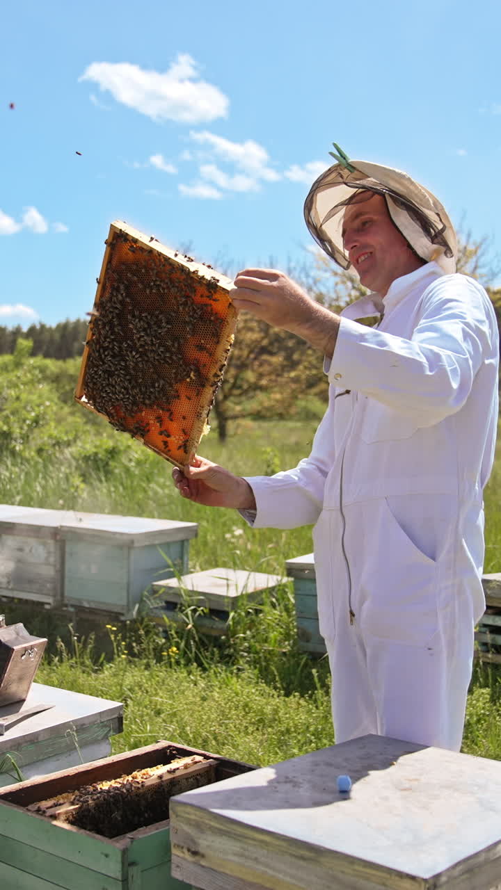Happy apiarist looks satisfactory at the full frame and smiles. Adult beekeeper examines honey harvest at his farm at the backdrop of beautiful weather. Vertical video