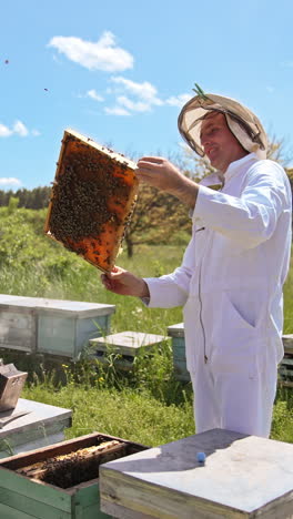 happy apiarist looks satisfactory at the full frame and smiles. adult beekeeper examines honey harvest at his farm at the backdrop of beautiful weather. vertical video