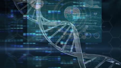 Animation-of-rotating-3d-dna-strand,-with-brain-and-data-processing-on-black-interface