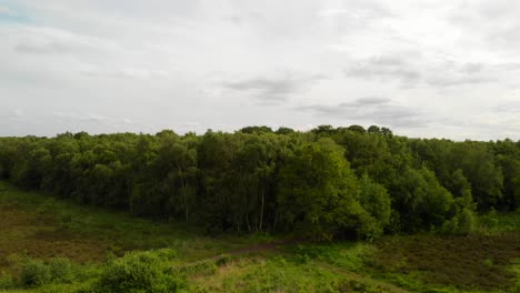 Raising-drone-shot,-Aerial-view-of-Wimbledon-Common-with-a-view-of-London-city,-establish-shot