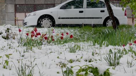 delayed snow