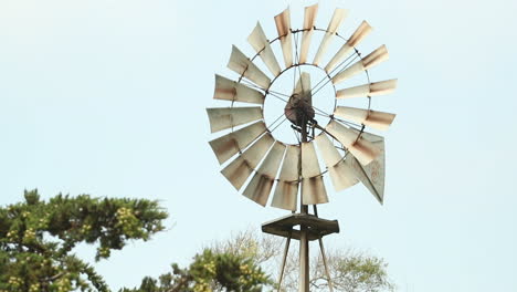 Windmühle-Dreht-Sich-In-Zeitlupe-Im-Wind