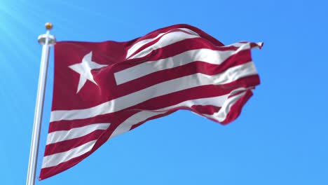 la bandera de james long, la segunda república de texas, estados unidos.