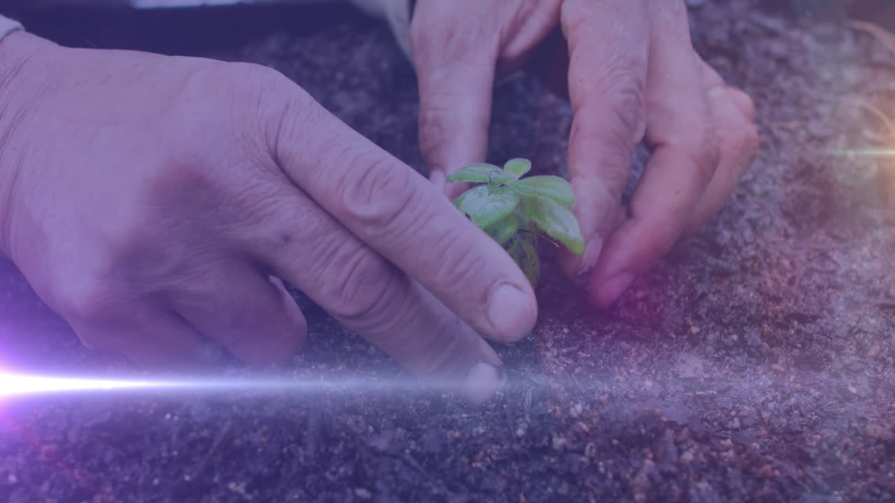 rastro de luz blanca contra el acercamiento de una mano plantando una planta en el suelo en el jardín