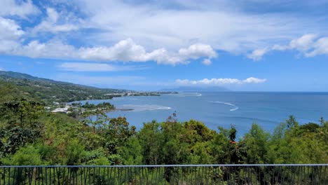 elevated view from belvédère du tahara'a lookout overlooking forest trees, ocean, and reefs in papeete, tahiti, french polynesia