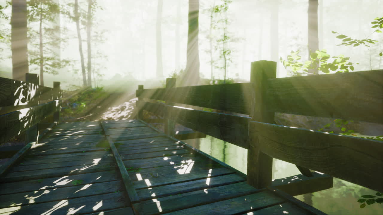 안개 속의 신비로운 오래된 나무 다리