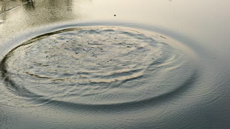 throw pepble into the water in summer  river