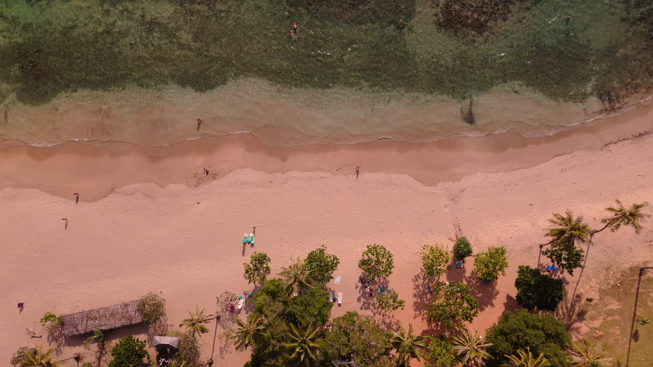 Vista aerea di una spiaggia tropicale con persone