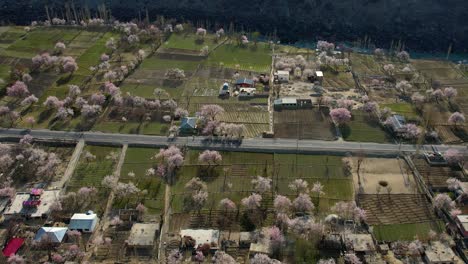 drone shot over skardu in pakistan village with houses and blossoming trees