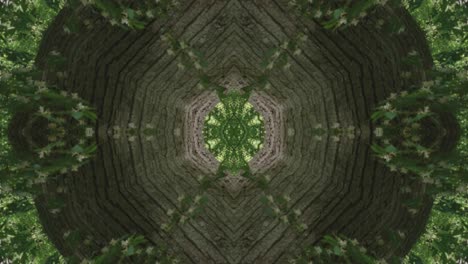 greenery kaleidoscope using forest imagery from wissahickon creek, philadelphia, #38