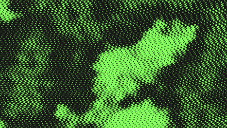 green and black textured pattern close-up view