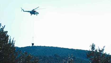 helicopter flying towards forest fire