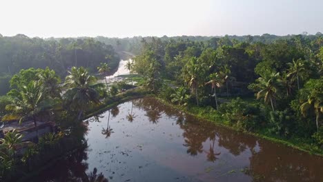 the farm is flooded, field has been plowed and watered for cultivation, high angle shot , aerial shoot, rice fields in asia