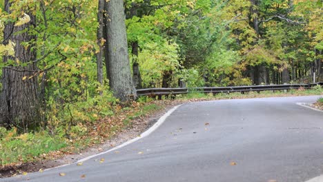 Road-Pan-and-Told-4K--Autumn