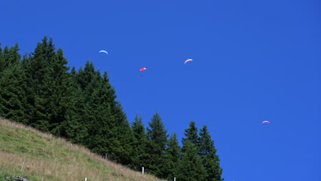 four parachutes fly in the sky over fir and grass meadow, obwald, engelberg, swiss alps