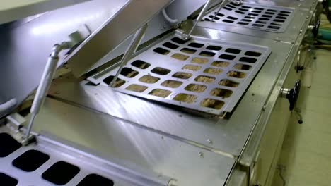 images of machines from olive oil factory