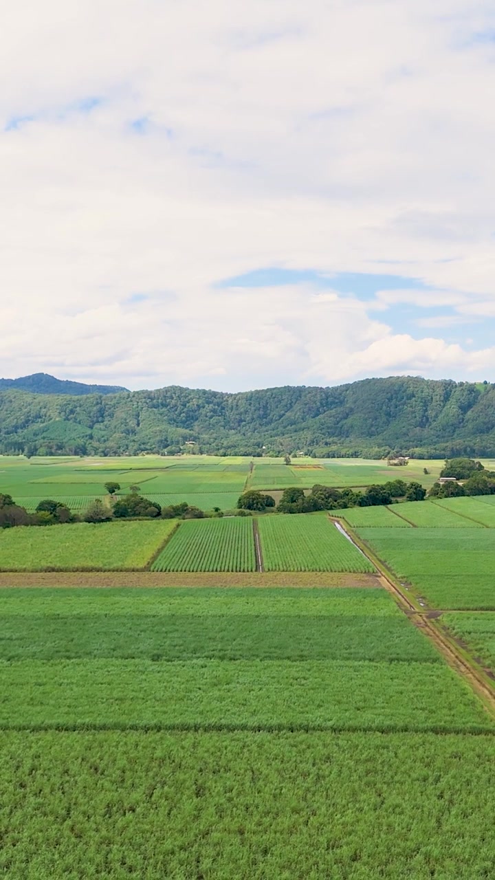 Lush green fields under a clear sky