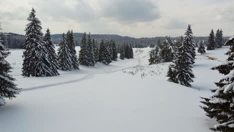 Movimiento-Lento-De-La-Cámara-En-Un-Camino-De-Montaña-Rodeado-De-Nieve-Y-Abetos,-Poiana-Brasov,-Rumania