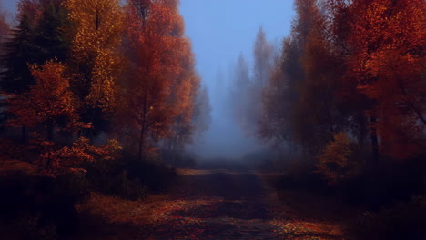 misty autumn forest path with vibrant fall foliage