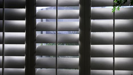 shadows move back and forth across the louvers of white wooden shutters