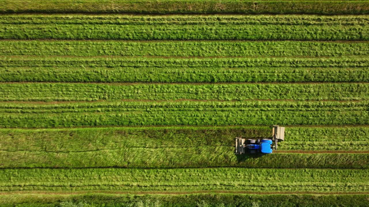 Vista aerea di un trattore che falcia un campo