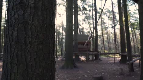 wooden playhouse in a forest